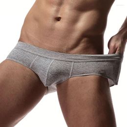 Underpants Men Briefs Cotton Breathable Underwear U Convex Pouch Male Panties Low Waist Sexy Bikini