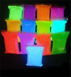 14 Colours Acrylic Paint Glow in the Dark gold Glowing paint Luminous Pigment Fluorescent Powder painting for Nail Art supplies 2012791857