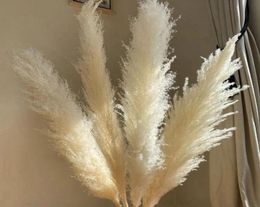 Decorative Flowers Wreaths 140CM 10PcsSet Natural Pampas Grass Large Real Dried Bouquet Home Decor Wedding Supplies Christmas D1692516