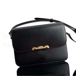 Shoulder Bags 2024 Top new hot Fashion temperament teen Triumph Shoulder Bag Top quality leather Bracket Angled luxury Designer bag Camera Handbags