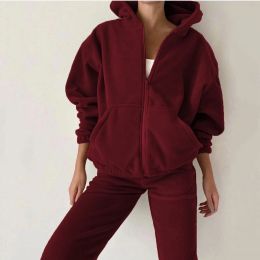 Capris Spring 2023 Women's Brand Velvet Fabric Tracksuits Velour Hoody Track Suit Hoodies and Pants Oversized Sportswear Two Pieces Set