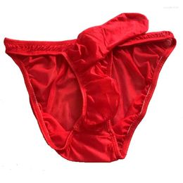 Underpants Gay Men Underwear Breathable Sexy Elephant Nose Big Penis Pouch Sissy Mens Briefs Shorts Cueca Male Panties