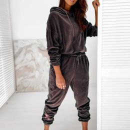 Capris Velvet Material 2022 Women 2 Piece Set Casual Sport Outfits Tracksuit Hoodies Sweatshirt+Pants Spring Sportswear Running Sets