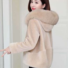 Wool Fox Collar Winter New Haining Particle Sheep Shearing Fur Women's Coat 377925