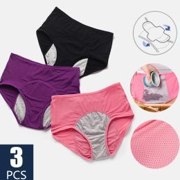 Capris 3pcs Physiological Pants Leak Proof Menstrual Panties Women Underwear Period Comfortable Waterproof Briefs Dropshipping Lingerie