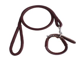 Multifunction Pet Dog Leash Leather Harness Collar Sets Nylon Rope Supplies 30 Collars Leashes6581768