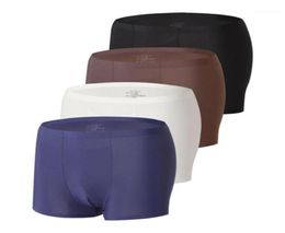 Underpants 4pcs Man Boxer Shorts Icy Silk Seamless Underwear Men Sexy Lingerie Ultrathin Men039s Transparent Panties Nylon Male3185047