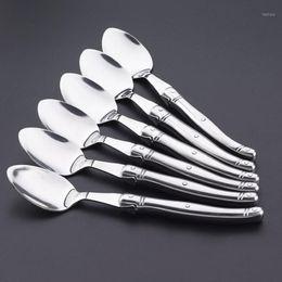 Spoons 8 5'' Laguiole Dinner Spoon Stainless Steel Tablespoon Silverware Hollow Long Handle Public Large Soup Rice Cutle293c