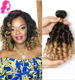 Aunty Funmi Brazilian Bouncy Curly Hair Bundle with Closures Ombre Hair Extensions Remy 1B427 1B430 Bouncy Curly Weave 3044225