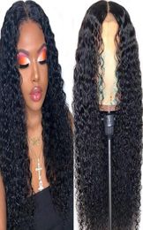 4x4 Lace Frontal Human Hair Wigs Pre Plucked Brazilian Virgin Hair Swiss Lace Closure Wigs Straight Body Wave Kinky Curly Water Wa6055207