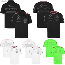 2024 Футболка команды F1 Формула 1, гоночная рубашка-поло, новый сезон, костюм водителя, трикотажные топы, летние мужские и женские большие размеры Fhau