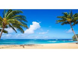 Tropical Beach Themed Pography Backdrop Vinyl Palm Trees White Clouds Blue Sky and Sea Seaside Wedding Scenic Po Booth Backg3267289