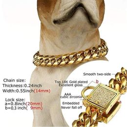 14mm Dog Collar Gold Colour Stainless Steel Pet Chain Necklace Pet Supplies Canoidea Rhinestone Lock High Polished 10-24inch311E