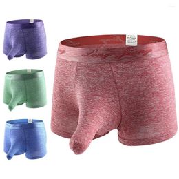 Underpants Fashion Underwears Sweat-absorbent Boxer U Convex