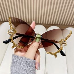 Fashion Designer Sunglasses Polarised Glasses Outdoor Shades Farme Fashion Classic Ladies luxury Sunglass Mirrors for Women Men