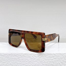 Designers Classic Sunglasses Acetate Fiber Extra Large Frame 1061 Womens Luxury Sunglasses Polarized Light Anti reflective Goggles