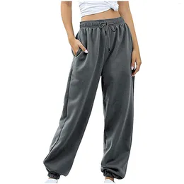 Women's Pants High Street Elastic Waisted Bottom Sweatpants Female Baggy Joggers Cargo Spring Solid Cotton Sports Trousers Y2k