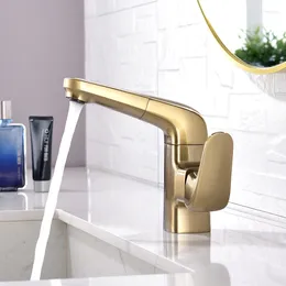 Bathroom Sink Faucets Pull Out Basin Faucet Cold Water Mixer Tap Grey Gold Stainelss Steel