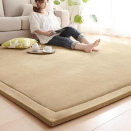 Large Chenille Carpet Coral Fleece Mat 120 200 2CM Tatami Table Manually Bedroom Carpet Rectangle Living Room Rug 2CM Thick238s