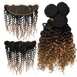 Brazilian Ombre Deep Wave Bundles with 134 Lace Frontal Ear to Ear 100 Remy Human Hair Weaves Ombre Bundles 1b427 Color6199266