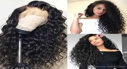 360 Lace Frontal Wig Pre Plucked With Baby Hair Brazilian Water Wave Curly 360 Lace Front Human Hair Wigs For Black Women2740715