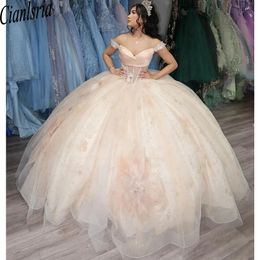 Champagne Quinceanera Dress Ball Gown Beads 3D Flowers vestido de 15 quinceaneras Lace Up Long Prom Dresses Custom Made