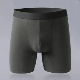 Underpants Men Double-layer Boxers Briefs Men's Winter Thermal Mid Waist Lengthened Solid Colour Elastic With For Cold