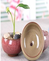 arden Planters Flower Pots Planters 50PcsLot Microlandschaft Mini Succulent Plants Flowers Vase Flowerpot Terrarium Container Min8106738