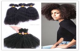 brazilian human virgin kinky curly full end hair bulk braiding hair extensions unprocessed curly natural black Colour human extensi5243323