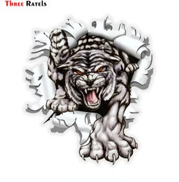 Three Ratels LCS271 15x171cm Tiger in the bullet hole colorful car sticker funny stickers styling removable decal3298420