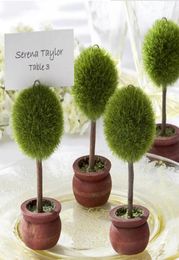 Wedding Favours Gift Green Potted Plants Place Card Holder For Green Theme Topiary Tree Place wedding decoration6070165