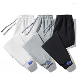 Men's Pants Sweatpants Spring Fall 2024 Korean Version Of Knitted Loose Plus Size Elasticated Casual Leggings Cropped