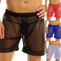 Underpants Men Sexy Panties Mens Boxers Transparent Mesh Underwear Lingerie Ultra-Thin Breathable Boxer Shorts Male Boxershorts