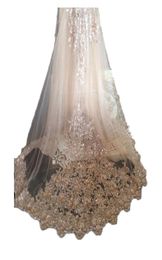 Bling Bling Champagne Wedding Veils Appliques Lace with Comb Bridal for Girls Cathedral Luxury Long Chapel Length Beaded1762628