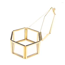 Jewelry Pouches Geometrical Clear Glass Box Organize Holder Tabletop Succulent Plants Container Home Storage