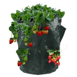 5/7/10Gallon Multi-Mouth Grow Bag Strawberry Tomato Planting Bags Reusable Planter Pots Garden Vegetable Flower Herb Planter 240309