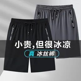Men's Shorts Summer Casual Ice Silk Stretch Air Conditioning Pants Youth Sports Quick Drying Plus Size Thin Beach