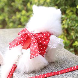 Sweet Dog Harness Beautiful Lace Cat Leash Bow Knot Chest Strap Collar Pet Supplies Accessories Collars & Leashes240E