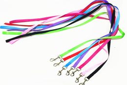 2019 Pets Use Dog Leashes Top Quality Strong Nylon Leads Rope Candy Color Cute Small Cats Leashes Pets Supplier 8122070
