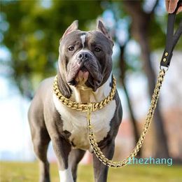 Dog Collars Leashes 304 Stainless Steel Chain Collar And Leash Super Strong Metal Choke Silver Gold Pet Lead Rope For Party Show300D