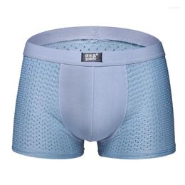 Underpants Summer Brand Cool Ice Silk Men's Boxer Shorts Soft Slip Men Underwear Breathable Mesh Sexy Man Homme Cueca