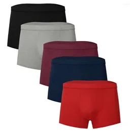 Underpants Feitong 5PC Boxer Men Underwear Plus Size Solid Male Beachwear Breathable Knicker Gay Cuecas