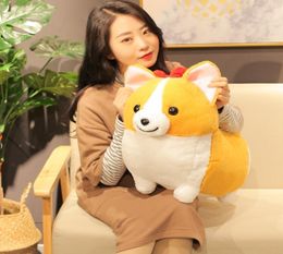 Kawaii Corgi Dog Plush Toy Cute Cartoon Animal Chai Dog Pillow Stuffed Dolls for Children Girls Christmas Valentine039s Gifts 22828995