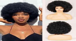 Afro Kinky Curly Wigs For Black Women Short Fluffy Hair African Synthetic Ombre Blonde Wig Party Dance Cosplay 2205255740179