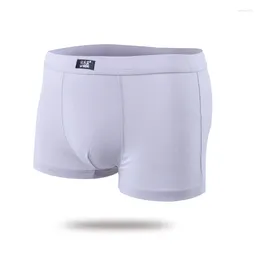 Underpants Male Modal Boxer Arrival Men Simple Shorts Solid Comfortable Breathable Underwear Panties L-3XL