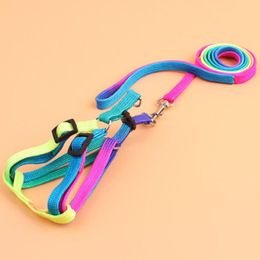 2021 New Small Pet Leashes Accessories New Nylon Pet Cat Dog Kitten Adjustable Colourful Harness Lead Leash Collar Belt256l