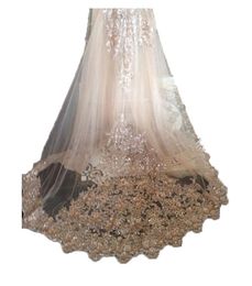 Bling Bling Champagne Wedding Veils Appliques Lace with Comb Bridal for Girls Cathedral Luxury Long Chapel Length Beaded7324830