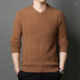 Men's Sweaters Men Sheep Wool Sweater Long Sleeve Jumper 2024 Autumn Winter Man Warm V-neck Pure Pullovers