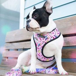 French Bulldog Harness Leash Printed Frenchie Reversible Harness Puppy Small Dogs Mesh Vest Leash Set for Pug Walking Training LJ2324L