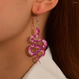 Dangle Earrings Resin Geometry Big Snake Drop For Woman Long Pendant Punk Lady Fashion Jewellery Girl Accessories 2024